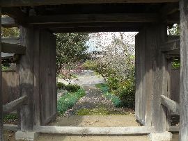 ����Ɏ��F�R��i�l�r��j���猩�������̗l�q