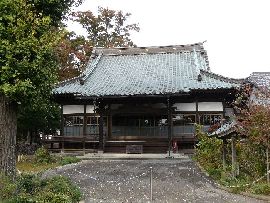 阿弥陀寺：銀杏の大木越に見える本堂の正面