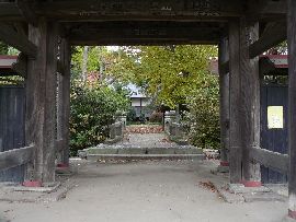 �������F�R��i�l�r��j���猩�������ɗl�q