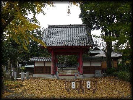 ��Ɏ��F�������ʂɐ݂���ꂽ��F�̎R��