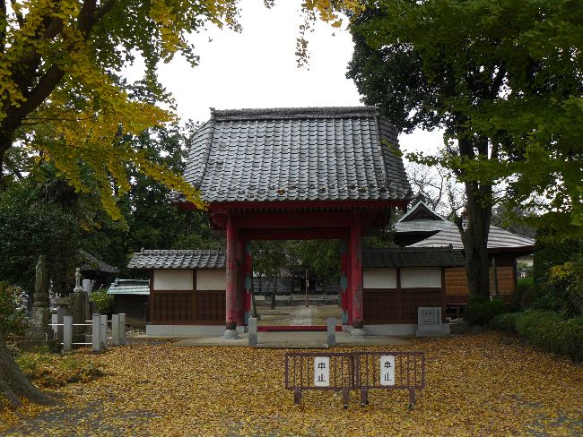 �t��ƂƉ��������Ɏ��F�������ʂɐ݂���ꂽ��F�̎R��