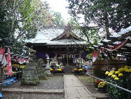 沓掛香取神社の境内で行われている菊まつり