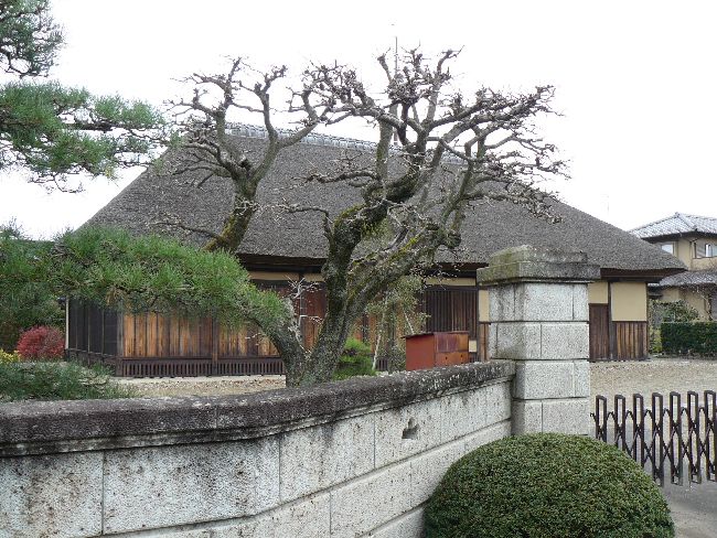 ����ƏZ��