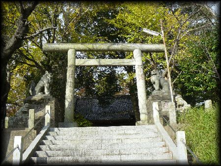 鹿島神社：参道石段から見上げた大鳥居と石造狛犬