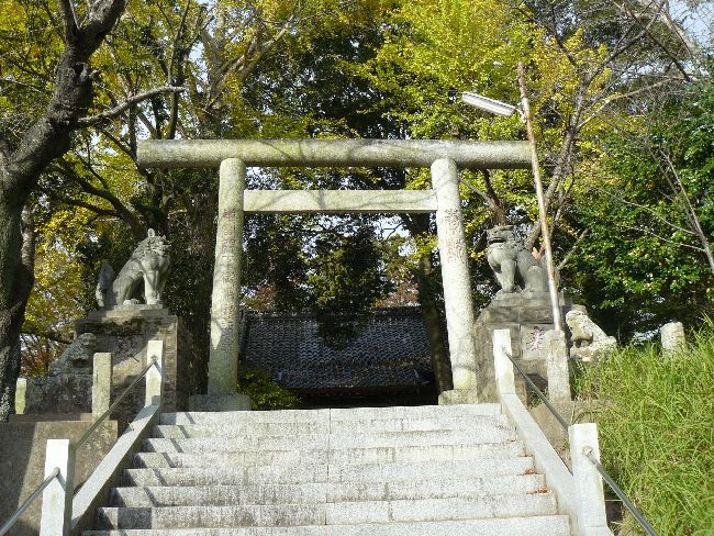 �����_��