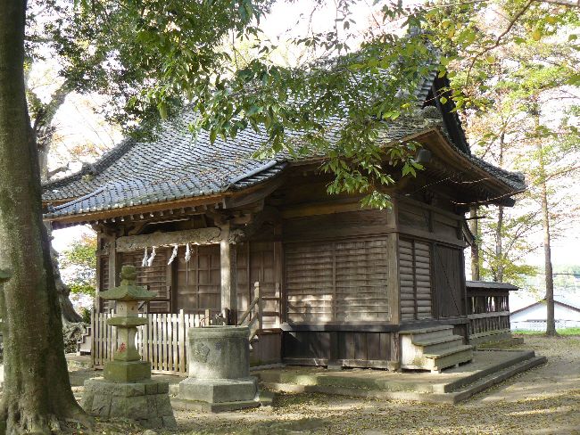 �����_��