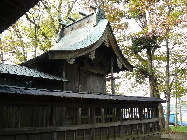 �����_��