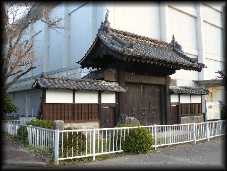 �{���w��