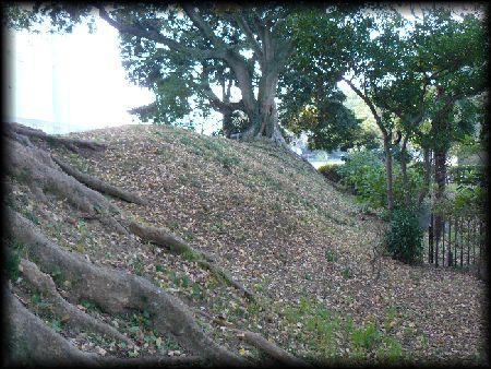 �{����F�y�ۂ̈�\