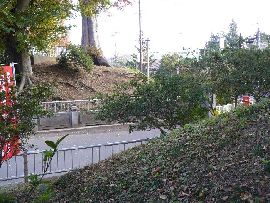 �{����F�y�ۂ��؂����đ���ꂽ���H