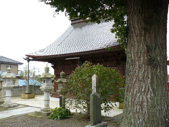 ��\�O�鑸��