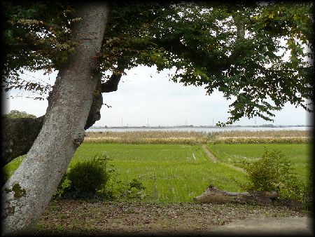 ���v�ˁF�鉺��