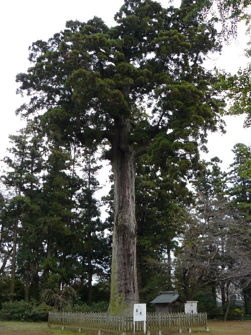 �푍�s�E�O�o��