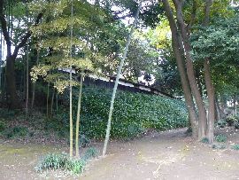 坂野家住宅：土手面の笹と板塀