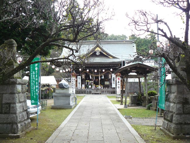 �吶���V���{