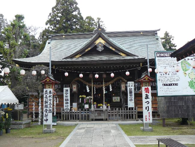 �吶���V���{