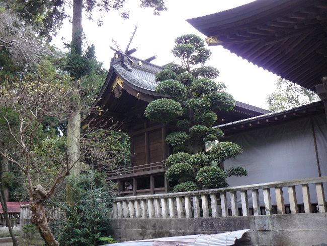 �吶���V���{