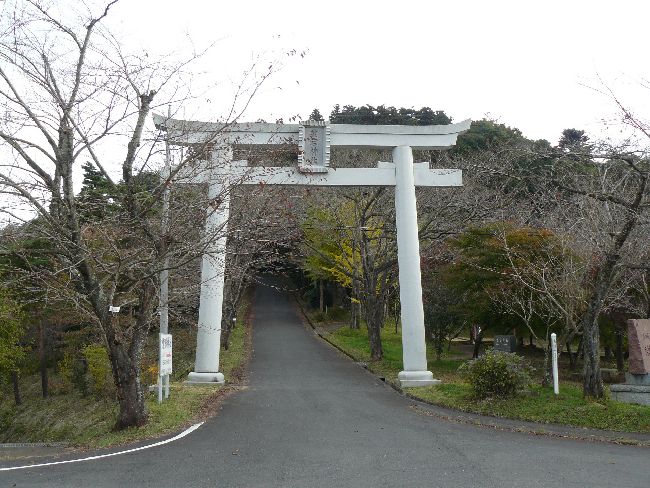 �����_��