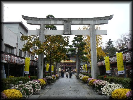 笠間稲荷神社：参道に設けられた石鳥居と菊祭りの風景