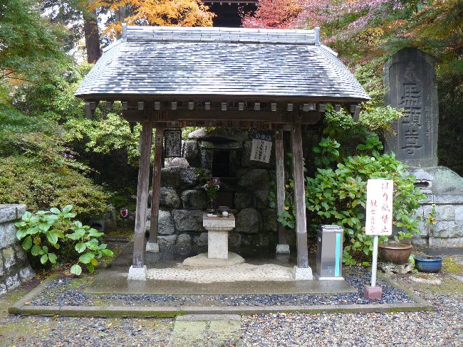 �ϐ�����