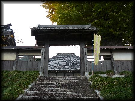 �������F�Q���Βi���猩�グ���R��