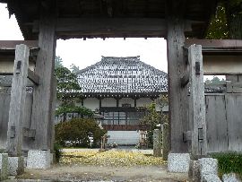 �������F�R�傩�猩�������̗l�q