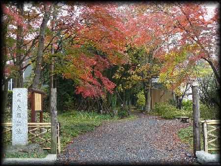 ��ΉƉ��~��