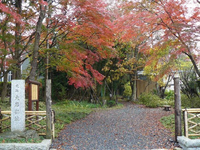 ��ΉƉ��~��