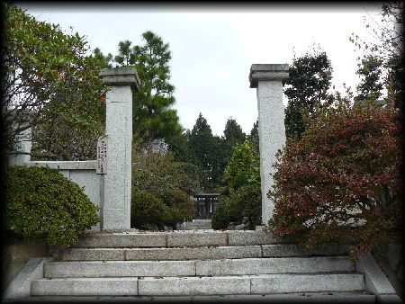 �����@�F�Q���Βi���猩�グ���Β��R��