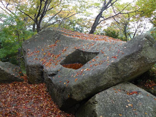 ���u�\�_��