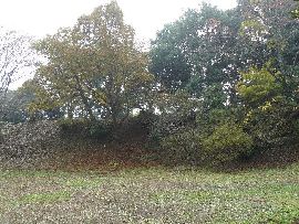 �}�ԏ�{�ۂ̘E��Ɠy��