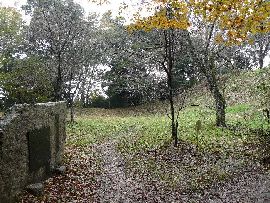 �}�ԏ�{�ۂ̗l�q