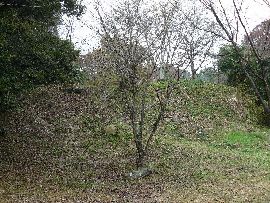 �}�ԏ锪���E�̘E��Ɠy��