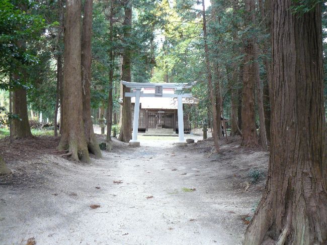 ���[�_��