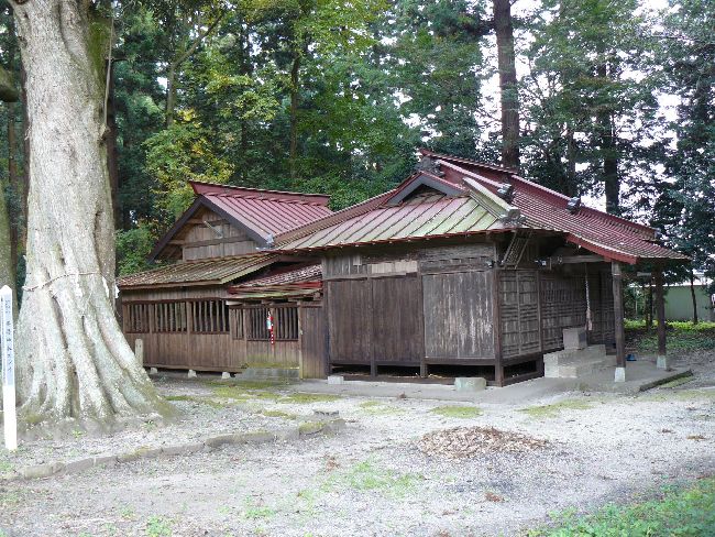 ���[�_��