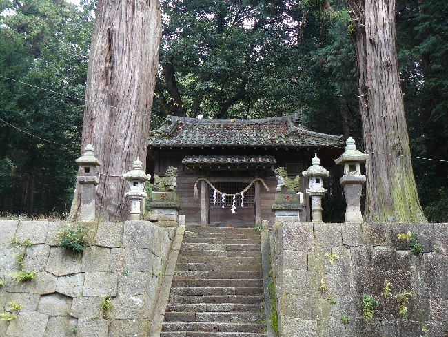 �基�V�_��