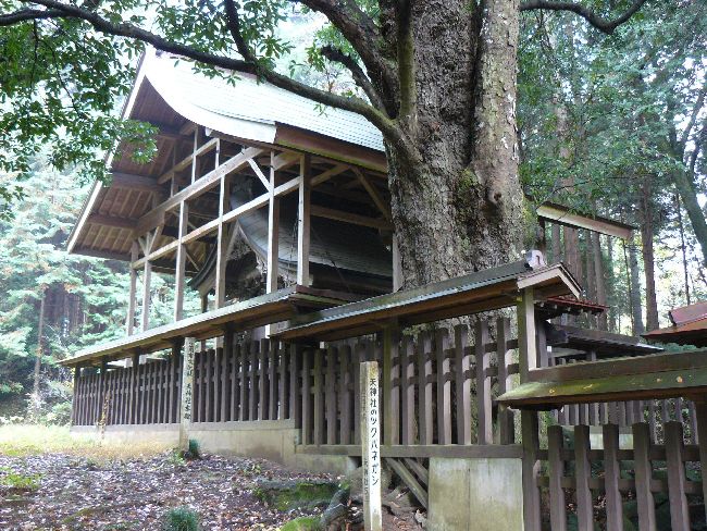 �基�V�_��