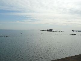 霞ヶ浦：湖面に浮かぶ養殖場と桟橋