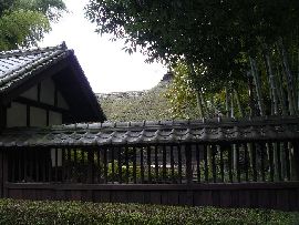 鷹見泉石旧宅：板塀越に見える茅葺屋根の主屋