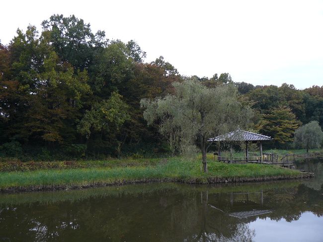 �É͌�����