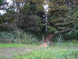 �É͌����فF�y�ۂƊs�̌`��