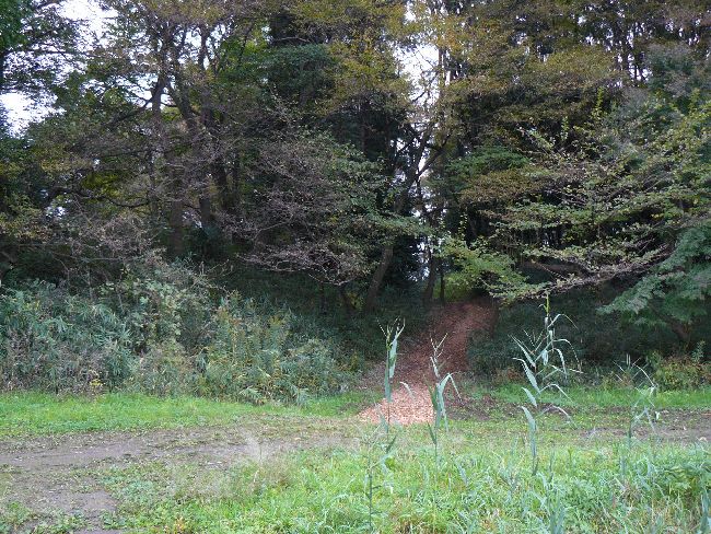 �É͌�����