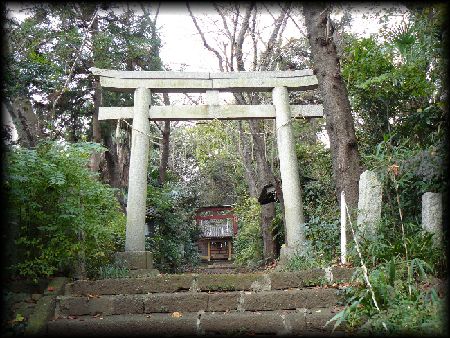 頼政神社：参道石段から見上げた石鳥居