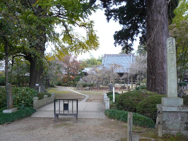 �Z�n����