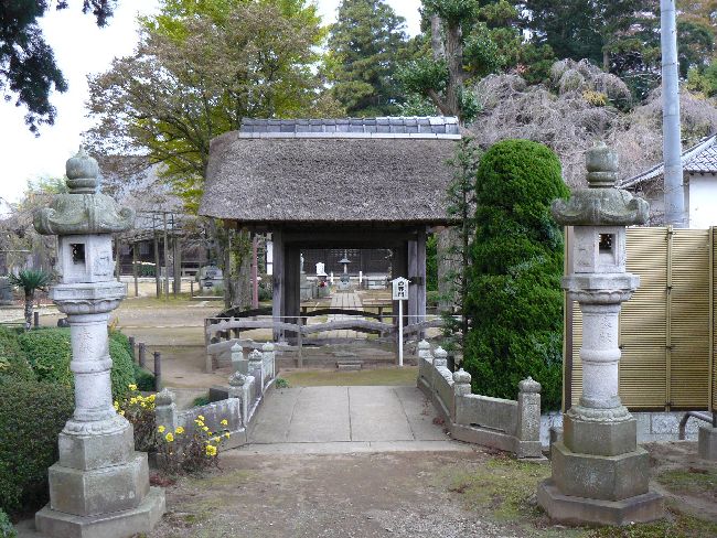 �Z�n����