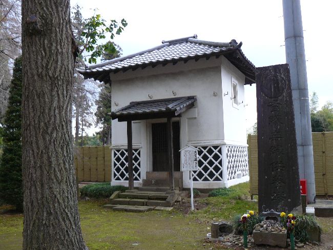 �Z�n����