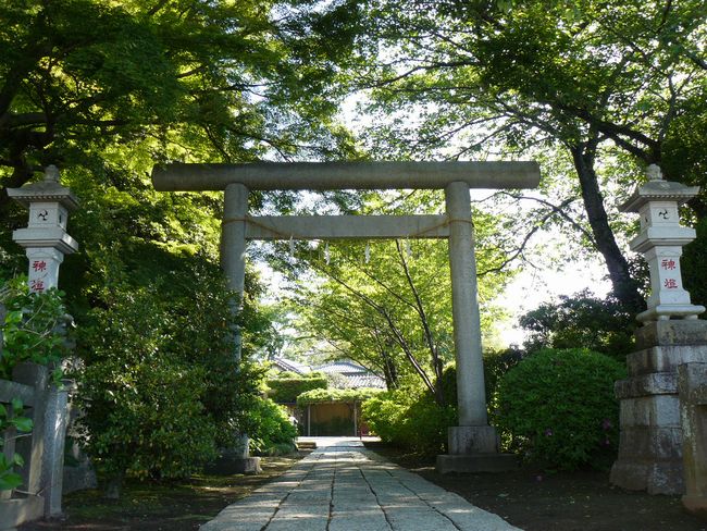 ���˔����{