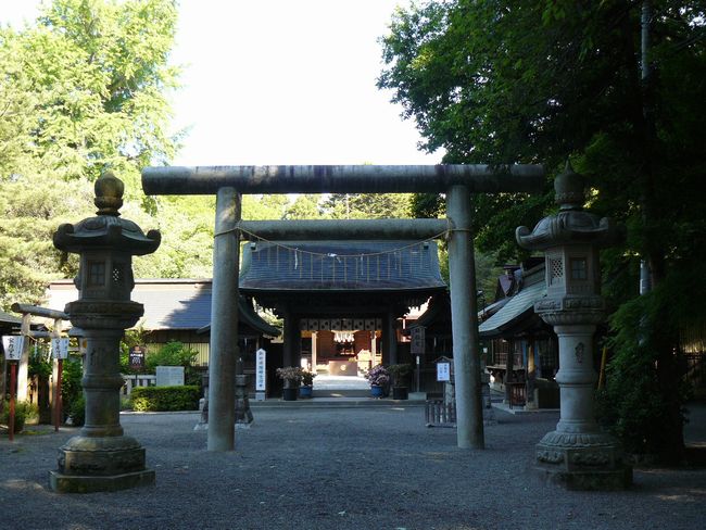 ���˔����{