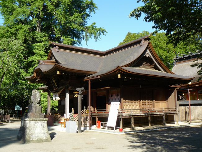 ���˔����{