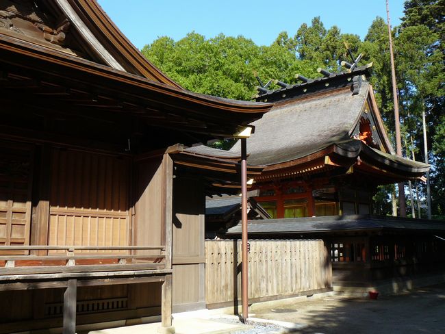 ���˔����{